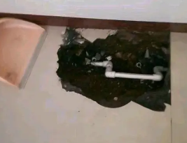 红安卫生间测漏水多少钱
